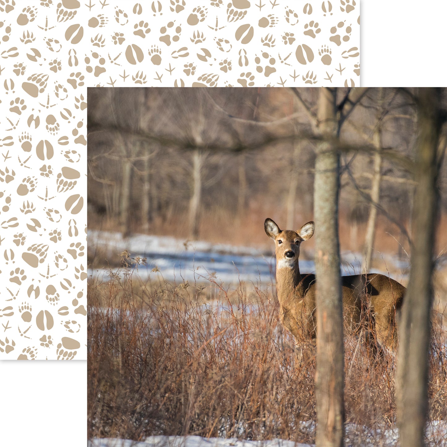 Whitetail Deer Hunting Life Scrapbook paper by Reminisce