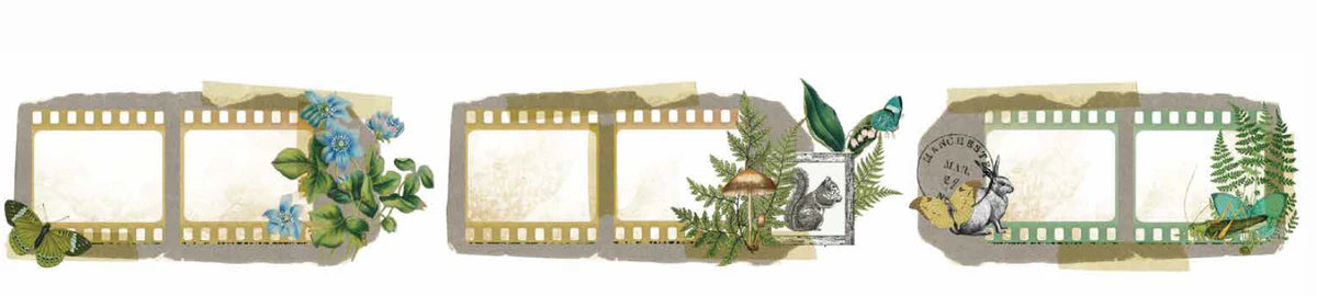 Arden Creative Studio Hidden Creek Filmstrip PET Tape