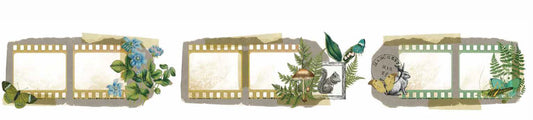 Arden Creative Studio Hidden Creek Filmstrip PET Tape