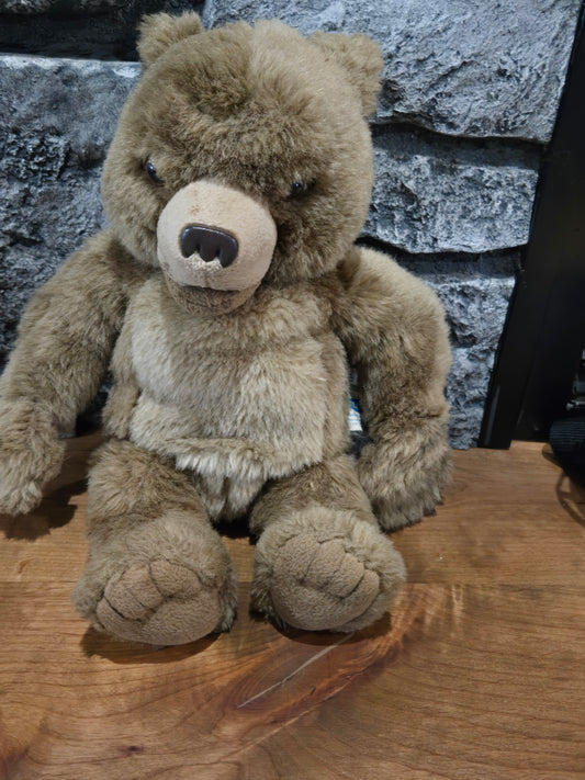 Disney Talking Little Bear Plush