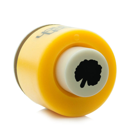 Punch Bunch Mini Geranium Mini Punch