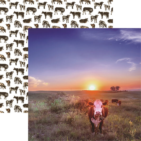 Reminisce Oh Holy Cow hereford Scrapbook paper