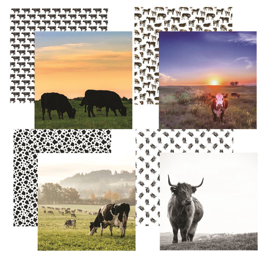 Highland Holy Cow Scrapbook paper Assortment Set by Reminisce