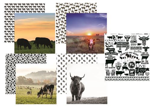Reminisce Holy Cow Scrapbook Papers and Stickers Set