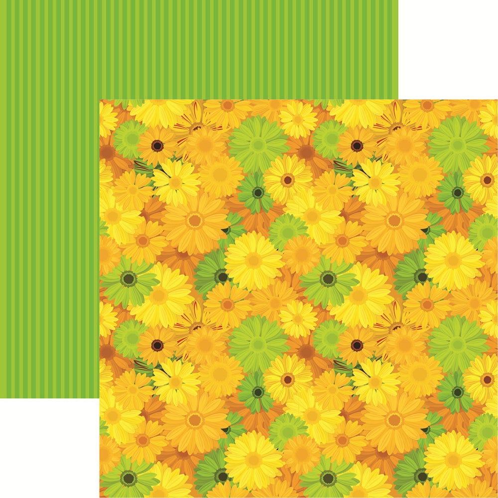 Reminisce Spring Fever Daisy Dreams Scrapbook Paper