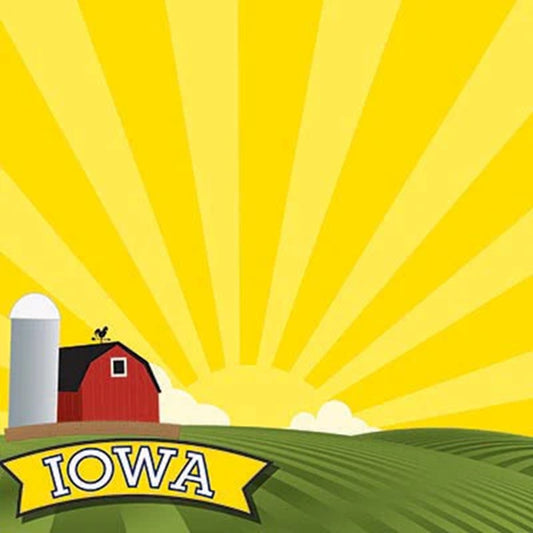 Iowa State Scrapbook Paper by Reminisce