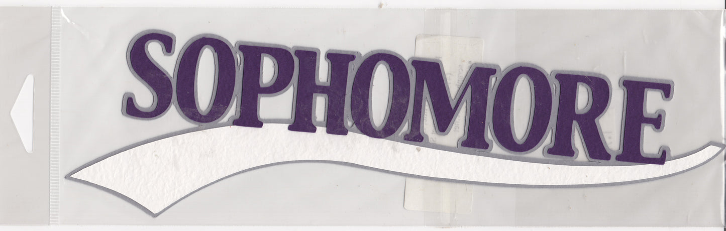 Sophomore Paper Piecing Title Purple Gray