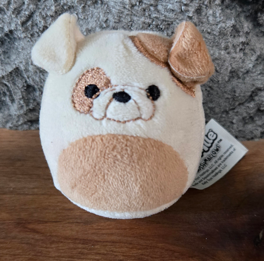 Brock Bulldog Squishmallow Squishville 2 Inch