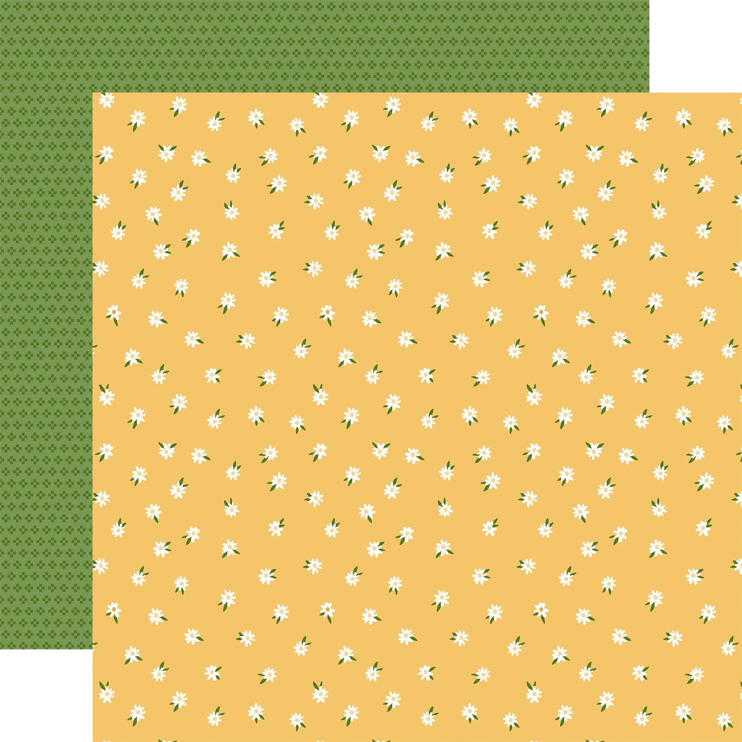 Oh Baby Daisies Winnie the Pooh Baby Scrapbook Paper
