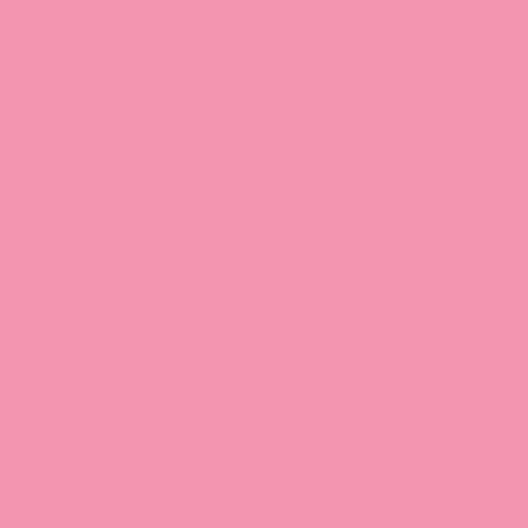 Pink Coredinations Solid Cardstock 12x12