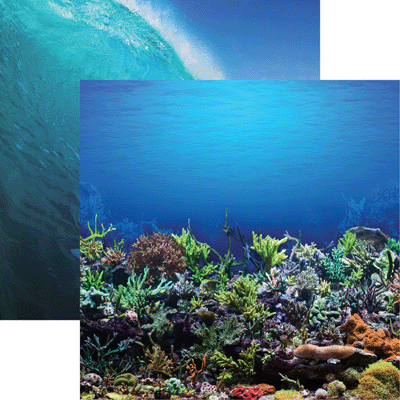 Underwater - All Inclusive Vacation Scrapbook Paper by Reminisce