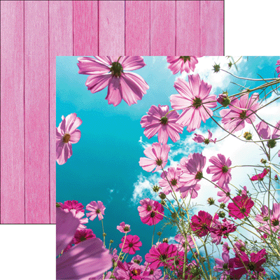 Reminisce Wildflowers Cosmos Flower Scrapbook paper