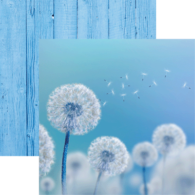 Dandelion Wish - Wildflowers Scrapbook paper by Reminisce