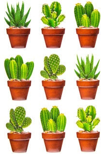 Puffy Cactus Stickers