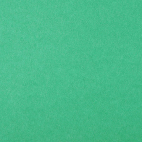Primary Green Cardstock by Coredinations