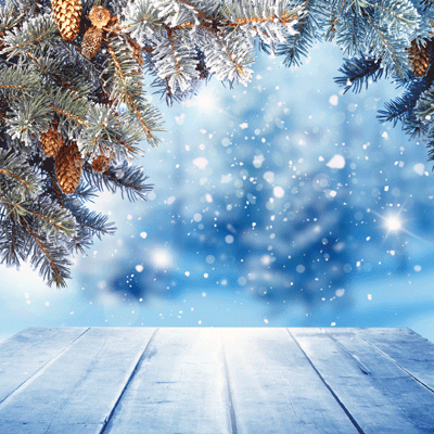 Winter Wonderland Blue Christmas Scrapbook Paper