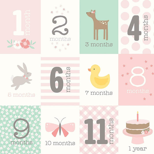 Baby Girl Month Scrapbook Paper
