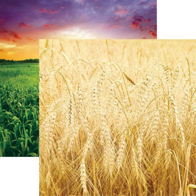 Wide Open Spaces - At the Farm 12x12 Scrapbooking Papers - by Reminisce