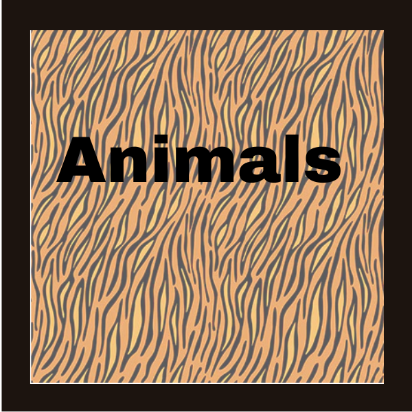 Animal Theme