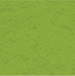 Crisp Green Cardstock My Colors