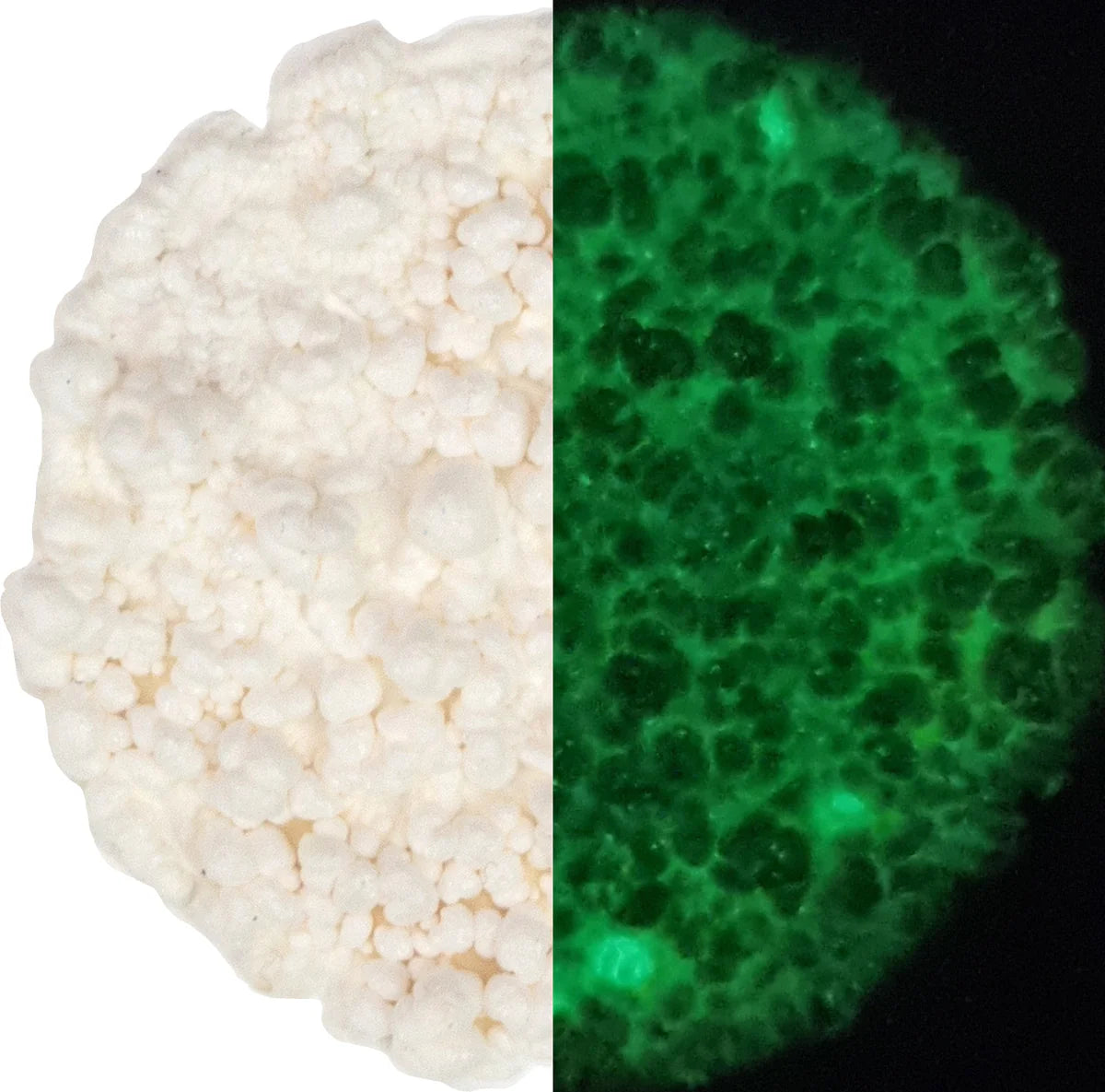 Cosmic Shimmer Fluffy Stuff Glow in the Dark 30 ml