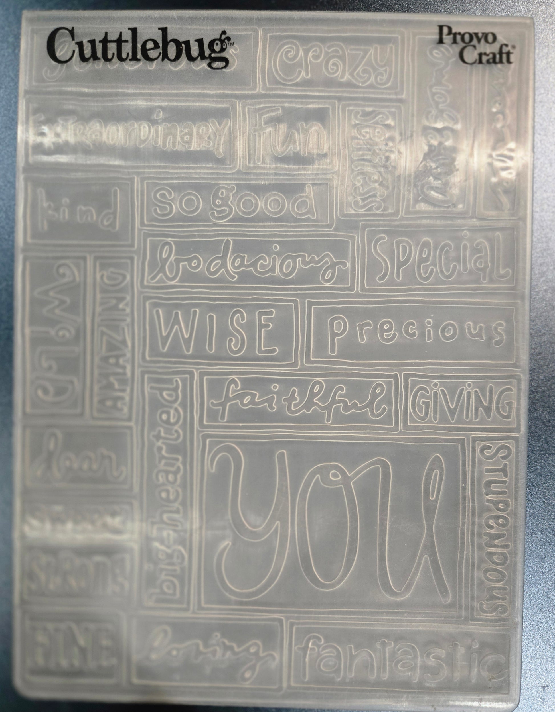 Cuttlebug You Embossing Folder