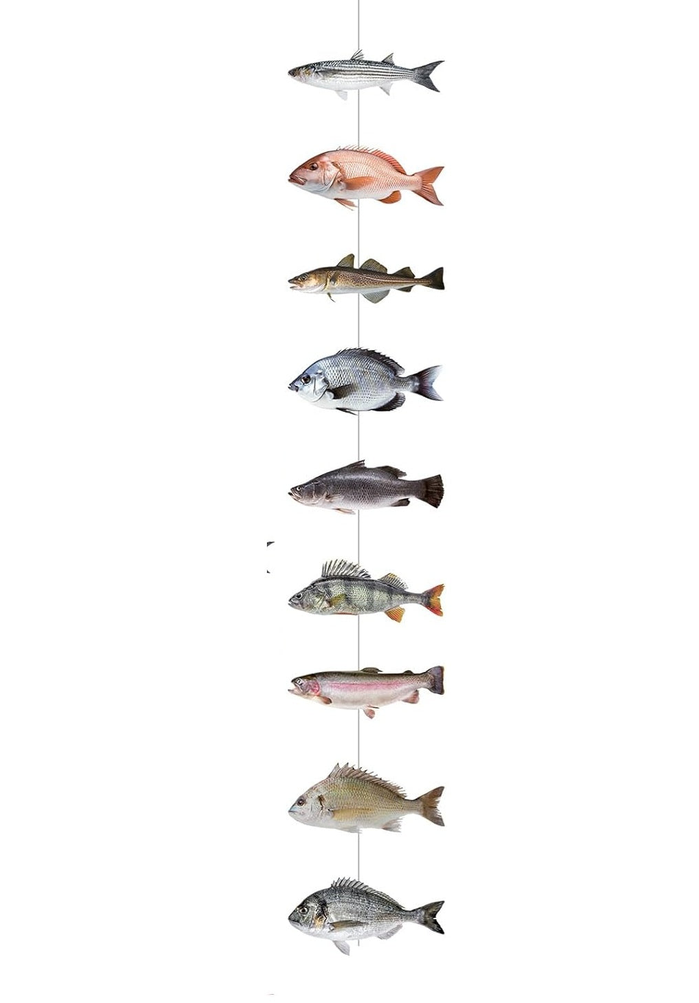 Fish Party Hanging Banner Garland