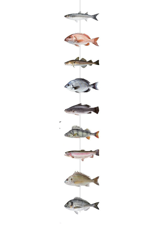 Fish Party Hanging Banner Garland