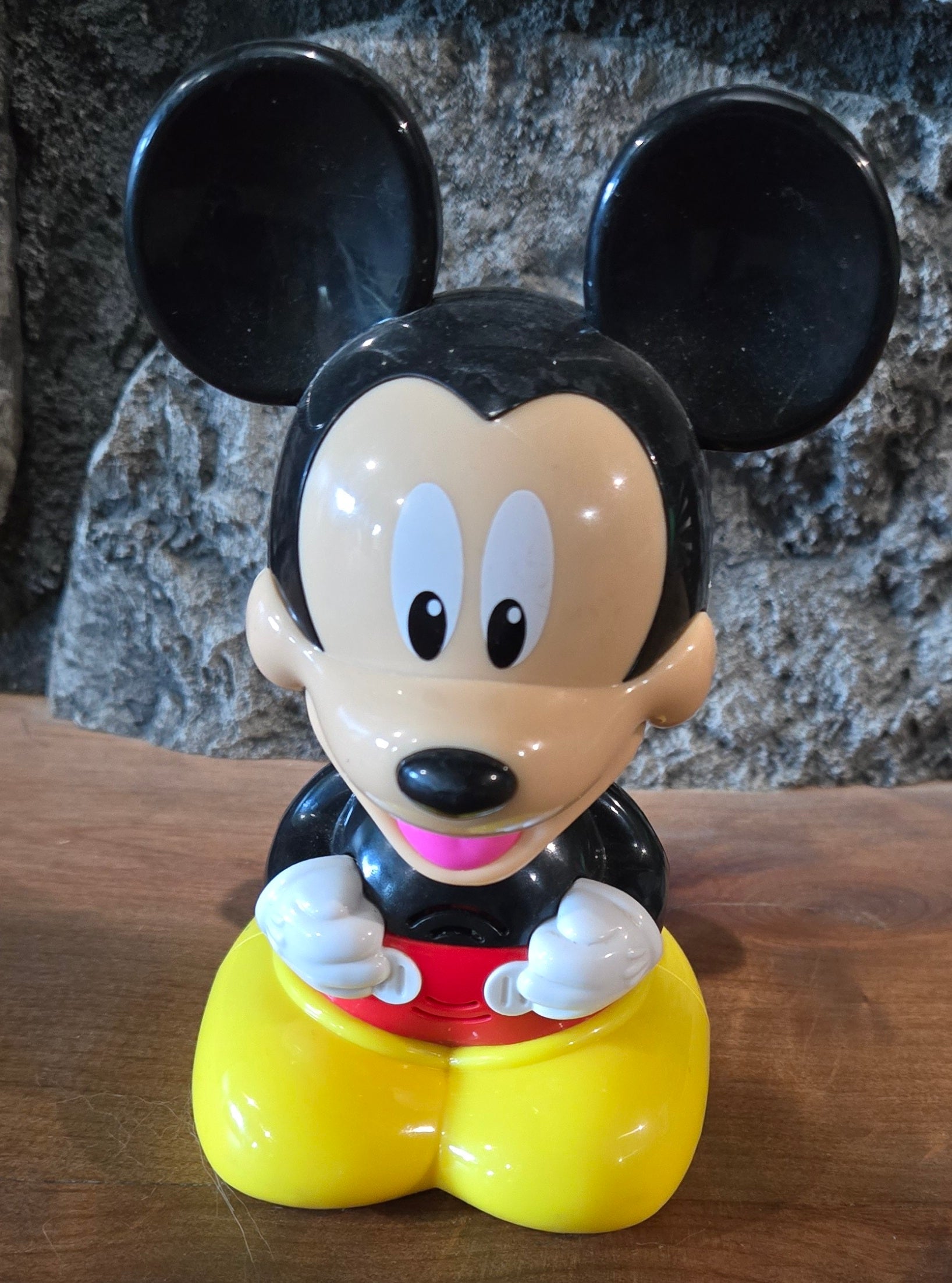 Mickey Mouse Talking Flashlight Toy – Country Croppers