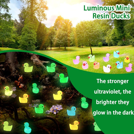 Mini Glow in the Dark Ducks