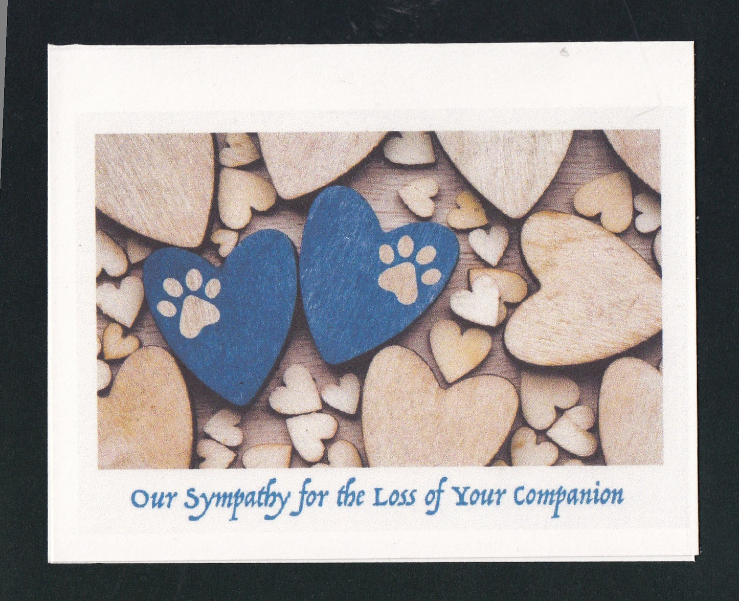 Our Sympathy for the Loss of Your Companion Pet Loss Card