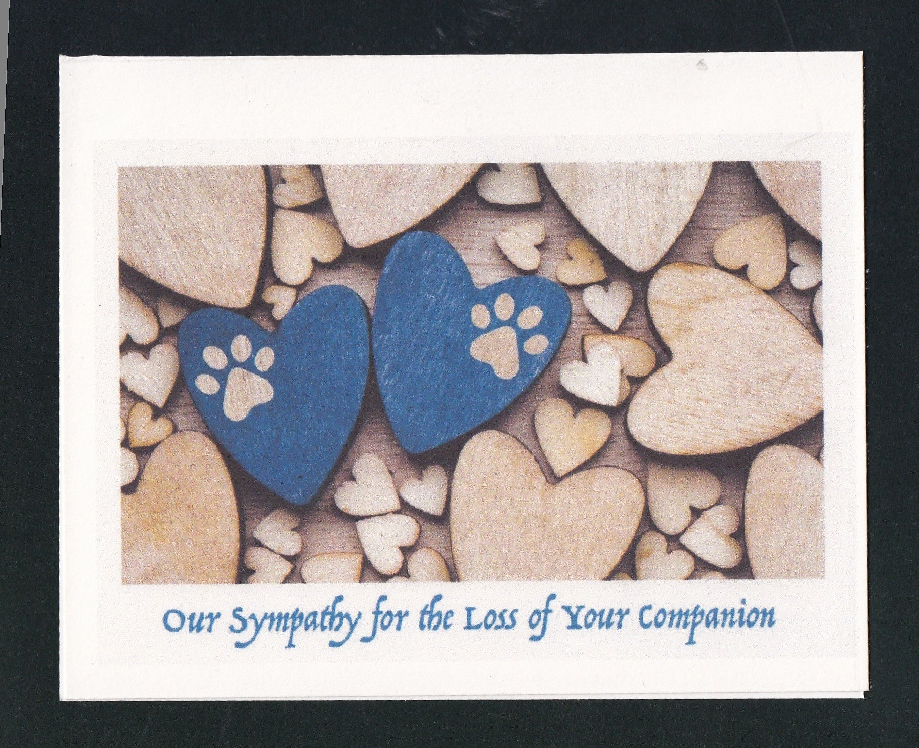 Our Sympathy for the Loss of Your Companion Pet Loss Card
