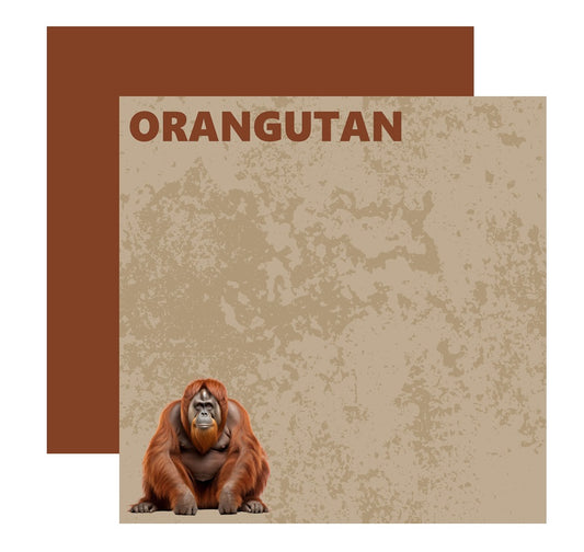 Zoo Animal Orangutan Scrapbook Paper