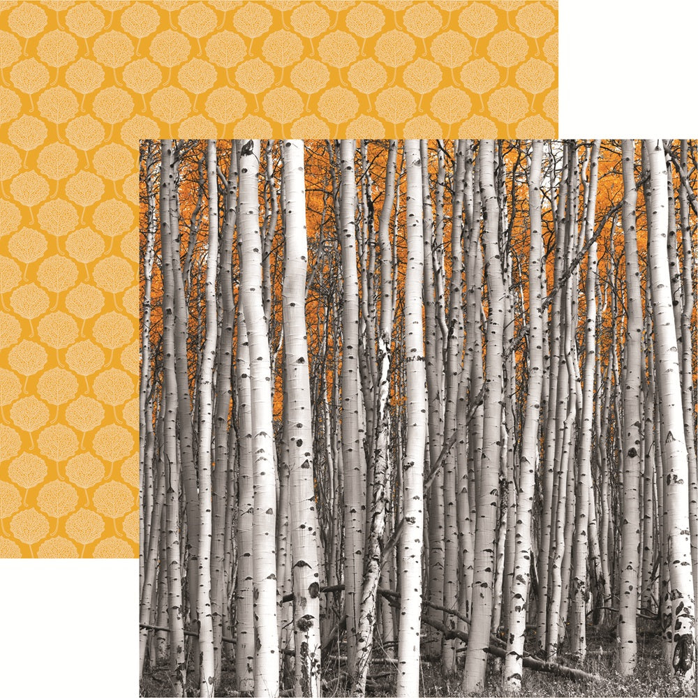 Reminisce Colorado Aspen Trees Scrapbook Paper