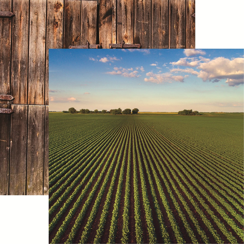 Reminisce Farm Life Field of Beans Scrapbook Paper