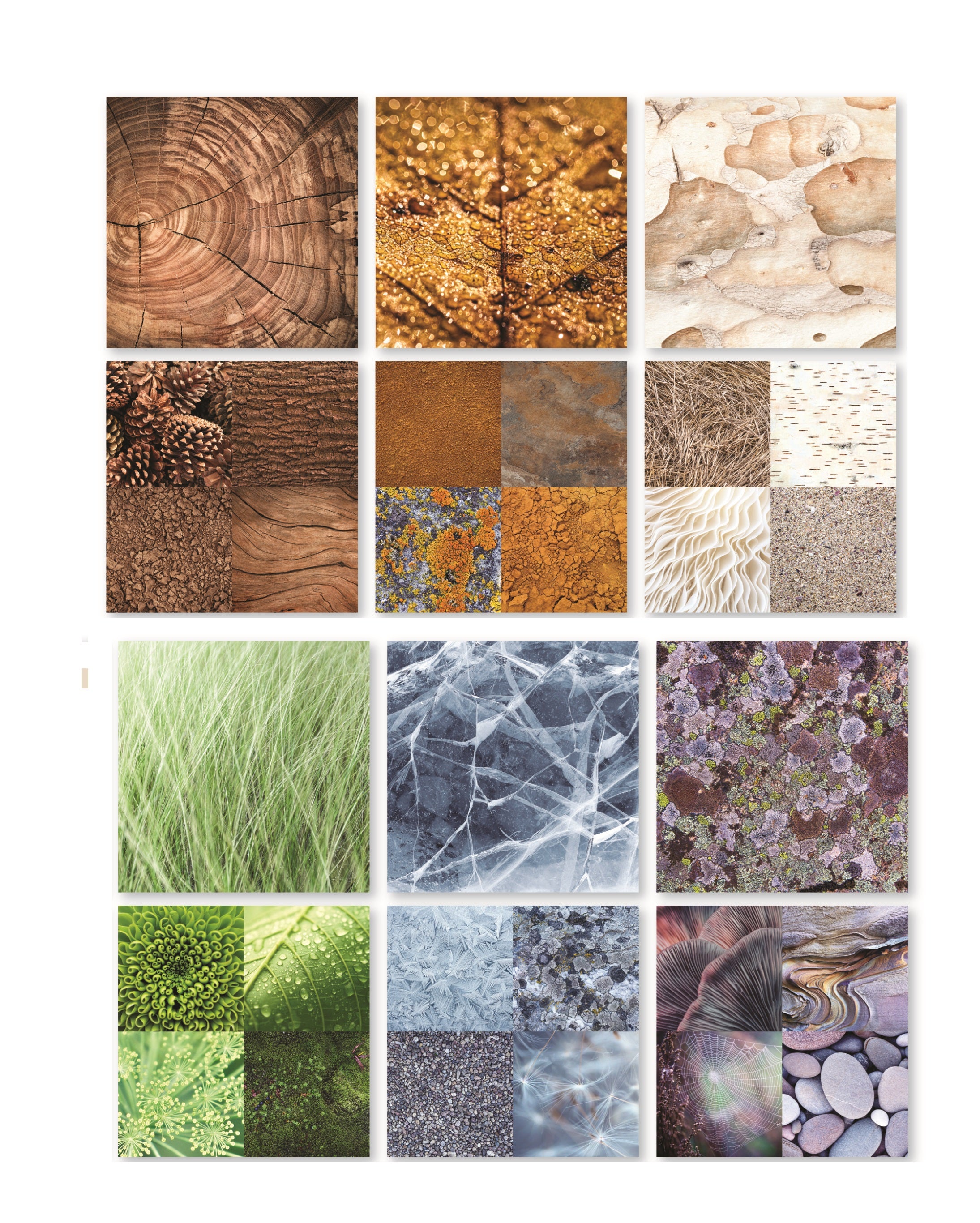 Assorted Textures Natures Textures 12x12 Scrapbook Paper Assortment Set - 6 Sheets ...