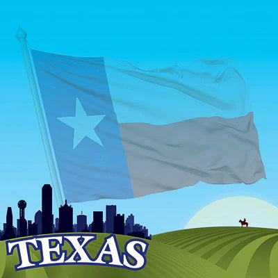 The State Line Texas Scrapbook Paper by Reminisce