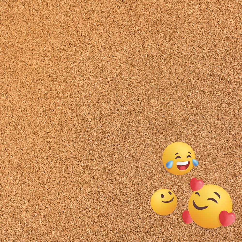 Emotional Emojies - The School Year - 12x12 Scrapbook Paper