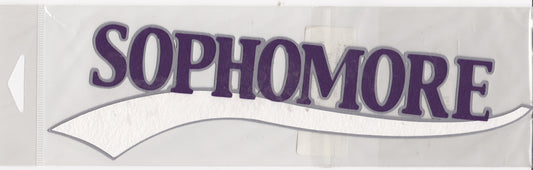 Sophomore Paper Piecing Title Purple Gray