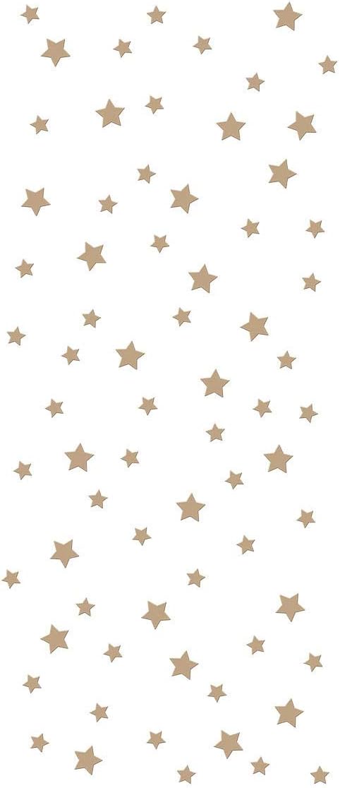 Spellbinders Celestial Star Background Hot Foil Plate