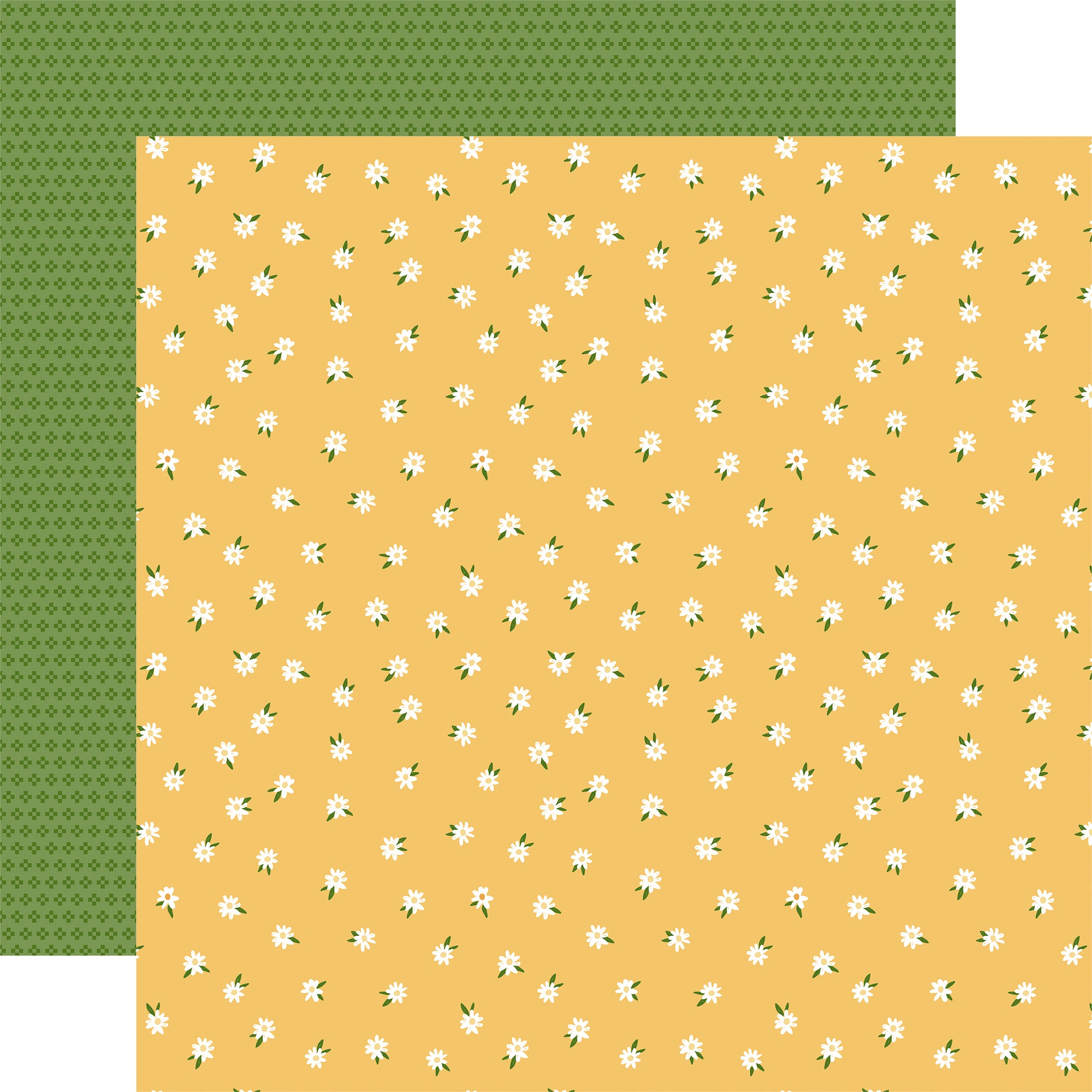 Oh Baby Daisies Winnie the Pooh Baby Scrapbook Paper
