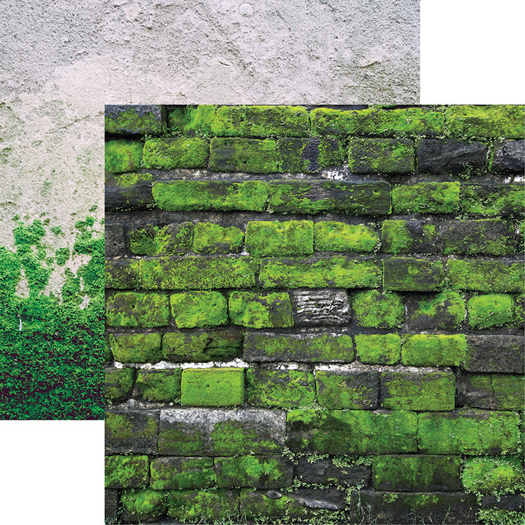 Urban Excursions Moss Scrapbook Paper
