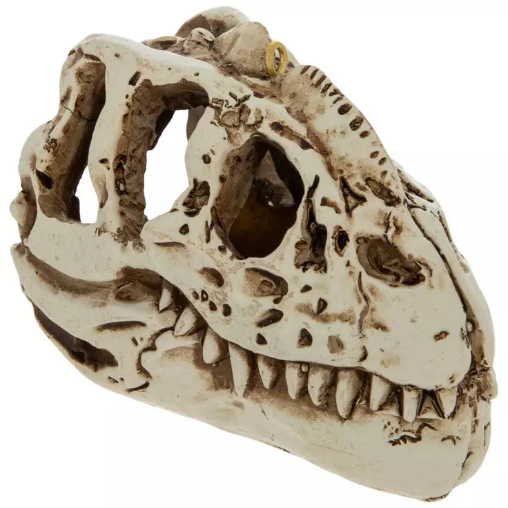 Dinosaur Fossil Ornament