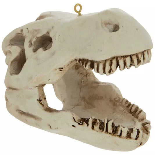 Dinosaur TRex Fossil Ornament