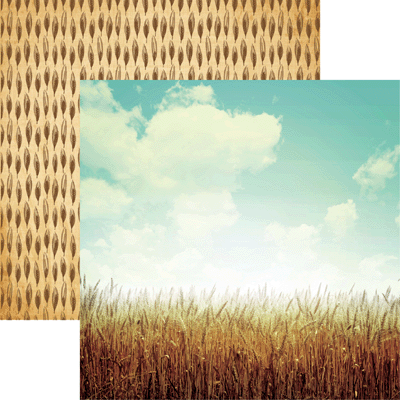 Wheat Fields Farm Fresh Scrapbook Paper by Reminisce