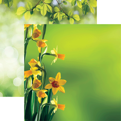 Reminisce Hello Spring Daffodil Scrapbook Paper