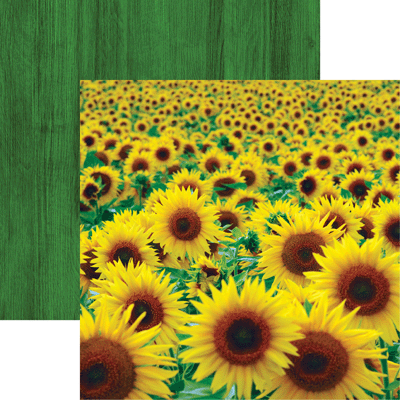 Reminisce Wildflowers Sunflower Field Scrapbook paper