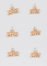 2021 Brass Gold Year Charms