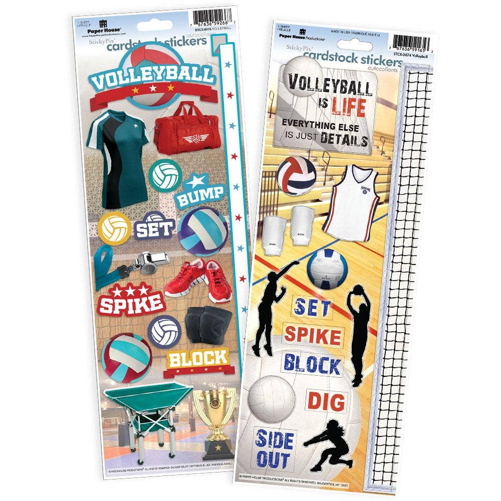 Volleyball Cardstock Sticker 2pk