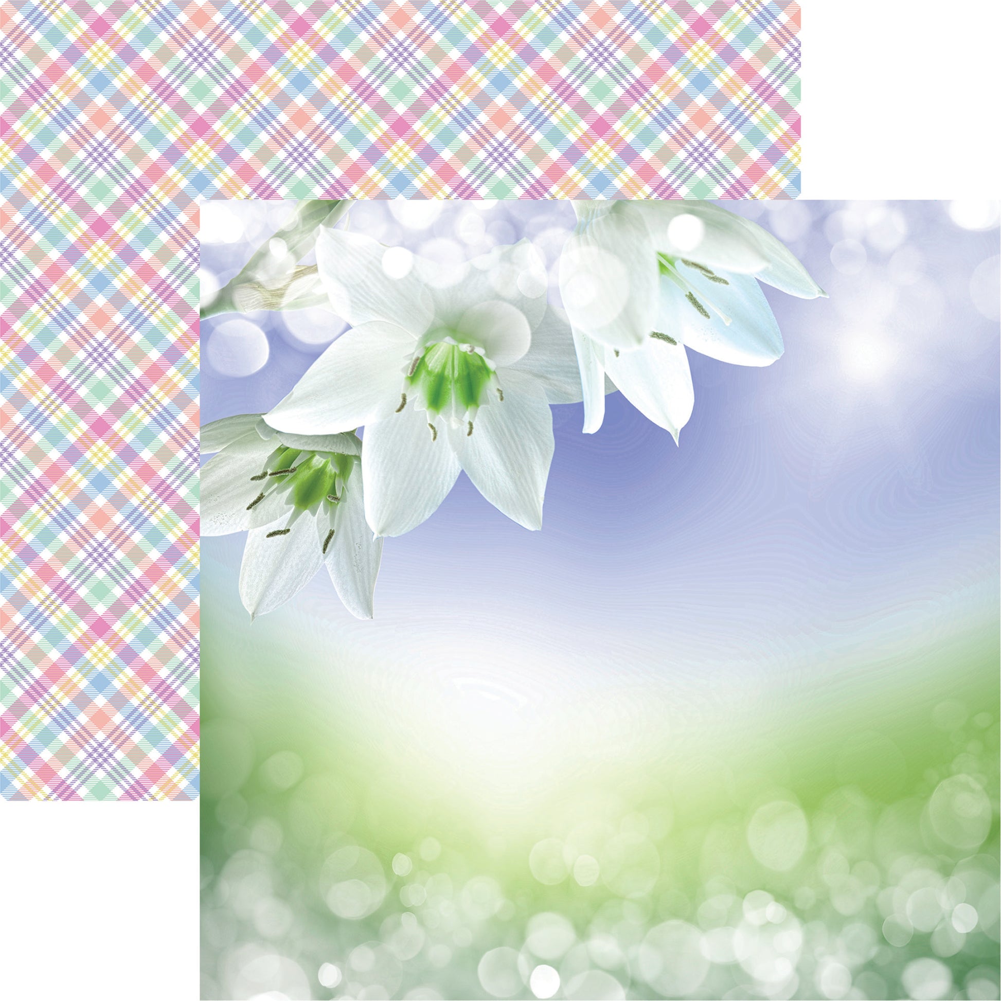 Easter Lillies Easter Time Scrapbook Paper
